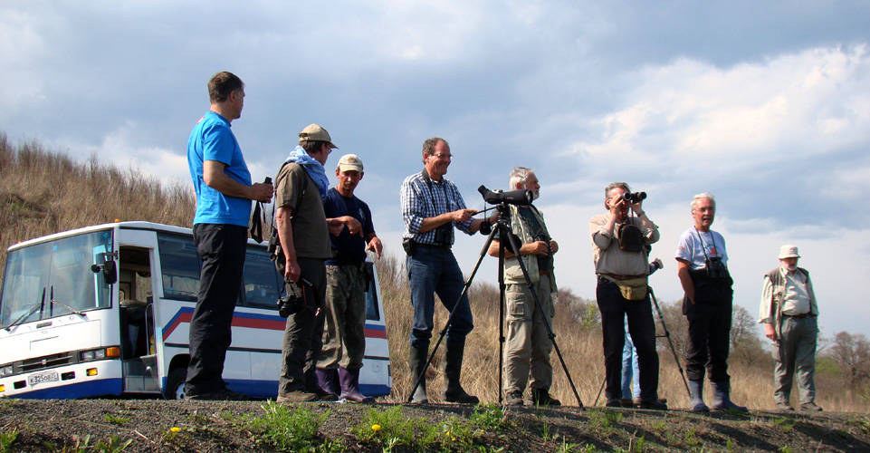 ornithologists